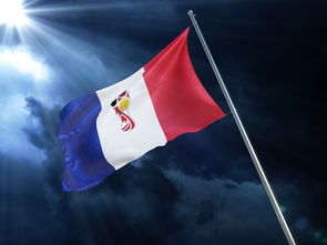 开云体育官网入口-挪威势不可挡夺得胜利，比利时队陷入低迷